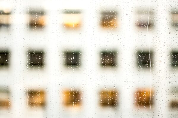 Photo Transparent supply chain