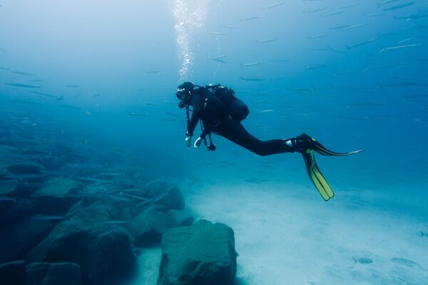 Photo Activity schedule