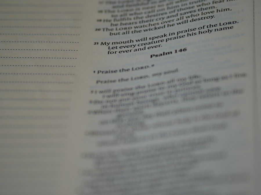Photo contract clauses